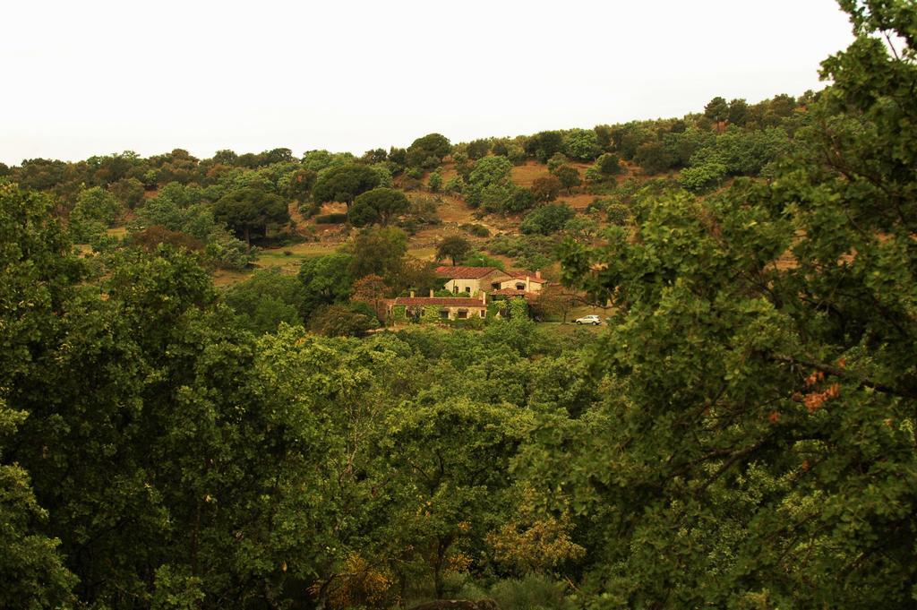 Casa Rural El Cabezo Сан-Мартін-де-Тревехо Екстер'єр фото
